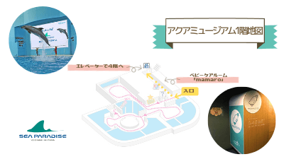 横浜八景島パラダイス・アクアスタジアム1階地図(エレベーターとベビーケアルームの場所)