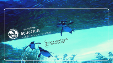 サンシャイン水族館・”空飛ぶペンギン””ゾウギンザメ”……見どころ満載レポ！