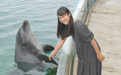 横浜・八景島シーパラダイス「イルカとあくしゅ＆ごはん」